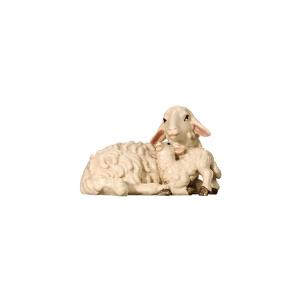 Sheep lying with lamb