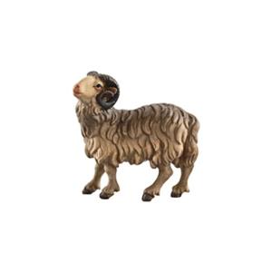 Ariete marrone