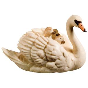 Swan with poultry