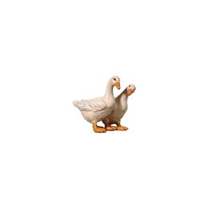 Group of geese
