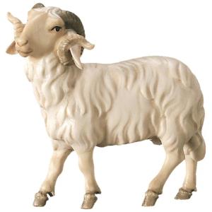 Ram