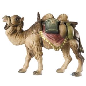 Kamel mit Gepäck
