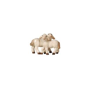 AD Group of lambs