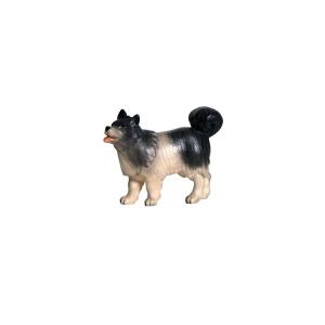 PE Hund Spitz