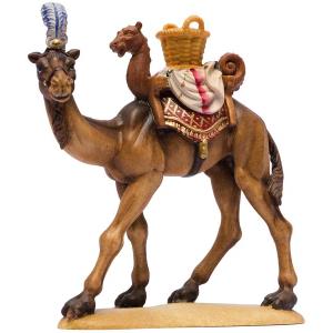 IN W.b.Camel with basket