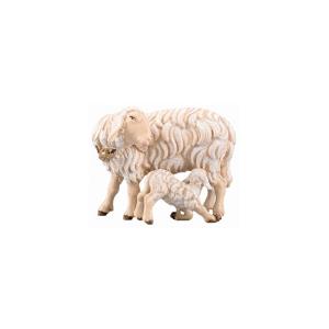 IN Sheep with lamb feeding