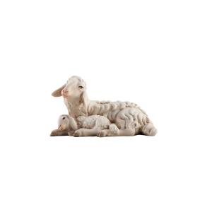 IN Sheep laying with lamb sleeping