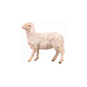 SI Pecora guardante sinistra