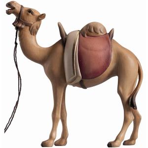 LI Camel