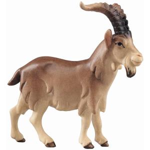 LI Billy goat