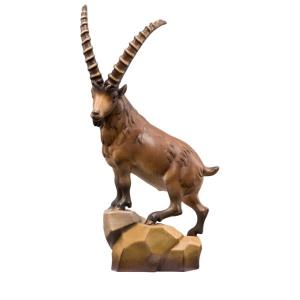 Ibex