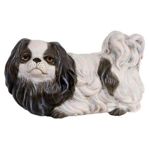 Pekingese