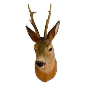 Roebuck head