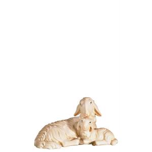 O-Pecora e agnello sdraiati