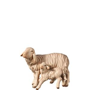 H-Sheep and lamb standing