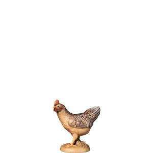H-Gallina che guarda