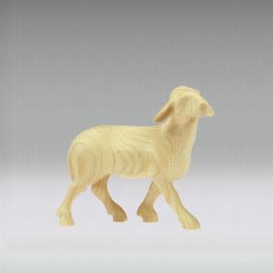 La Moderna Krippe sheep standing