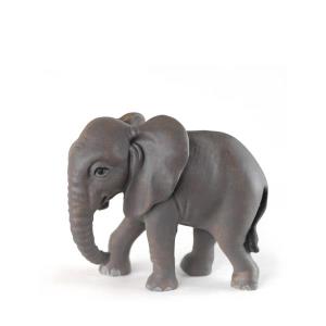 Baby Elephant standing