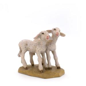 Gruppo agnellini Nr.91