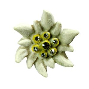 Edelweiss