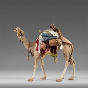 Dromedary with bags Hannah