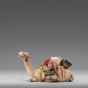 Dromdary lying with bags Hannah