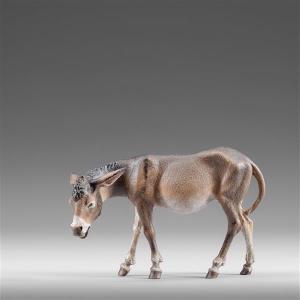 Asino inpiedi sinistra