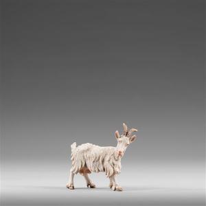 Capra che guarda a sinistra