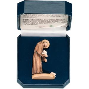 St. Francis of Assisi with case