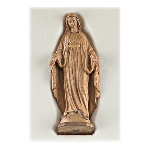 Madonna di Medjugorje