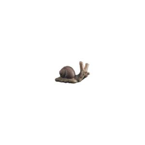 Little snail