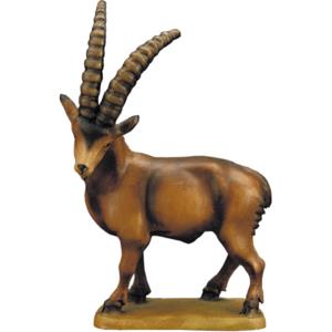 Ibex