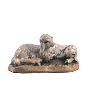 Coppia di agnelli sdraiati