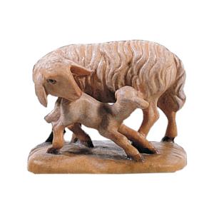 Pecora con agnello