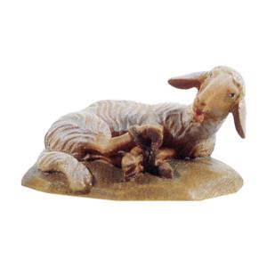 Pecora sdraiata(ad. per pastore10700/51