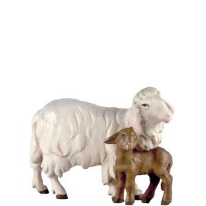 Sheep with 1 lamb