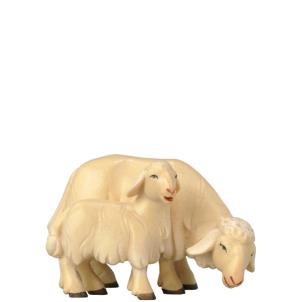 Pecora che pascola con agnello