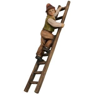 Shepherd on ladder