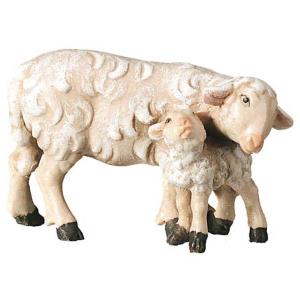 Sheep with lamb standing