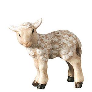 Lamb standing