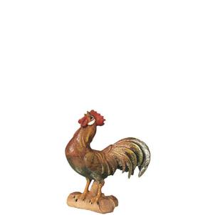 Cock on branch