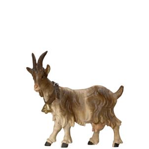 Goat standing with bell