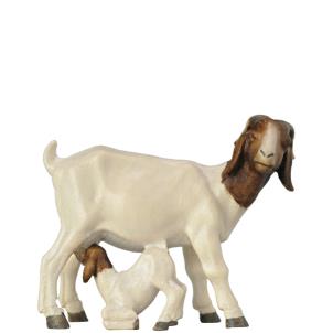 Boer goat with fawn