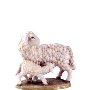 Sheep with lamb B.K.