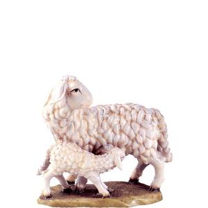 Sheep with lamb D.K.