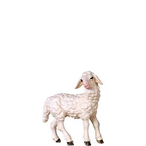 Lamb standing D.K.