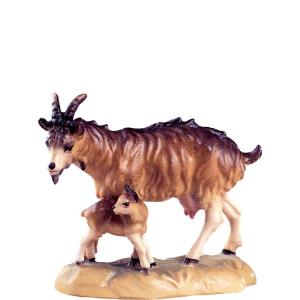 Capra con capretto D.K.