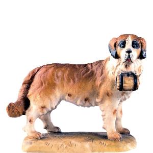 Cane (S. Bernardo)  D.K.