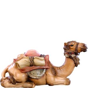 Cammello sdraiato D.K.