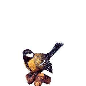 Uccellino giallo sul ramo H.K.